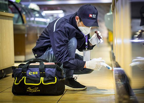 餐厅老鼠泛滥成灾，如何选择灭鼠公司？