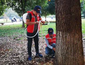 白蚁危害与环境保护