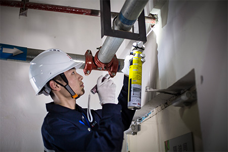 认识老鼠的危害有多大？